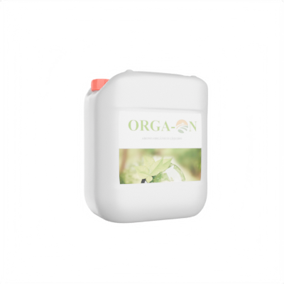 ORGA ON